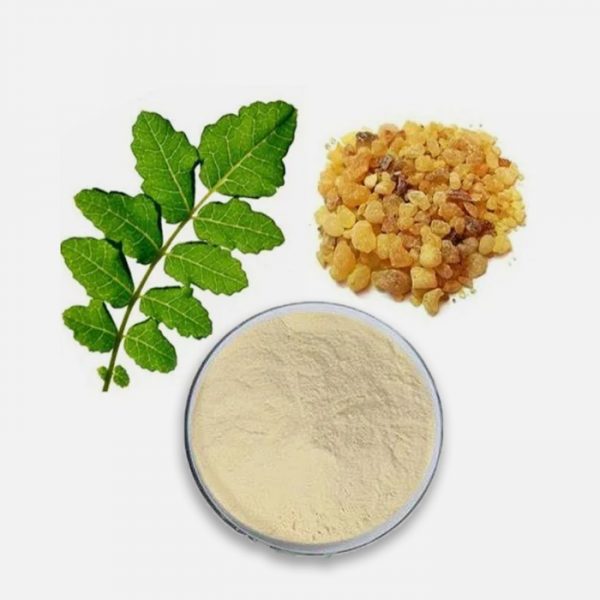 Boswellia Serrata Extract