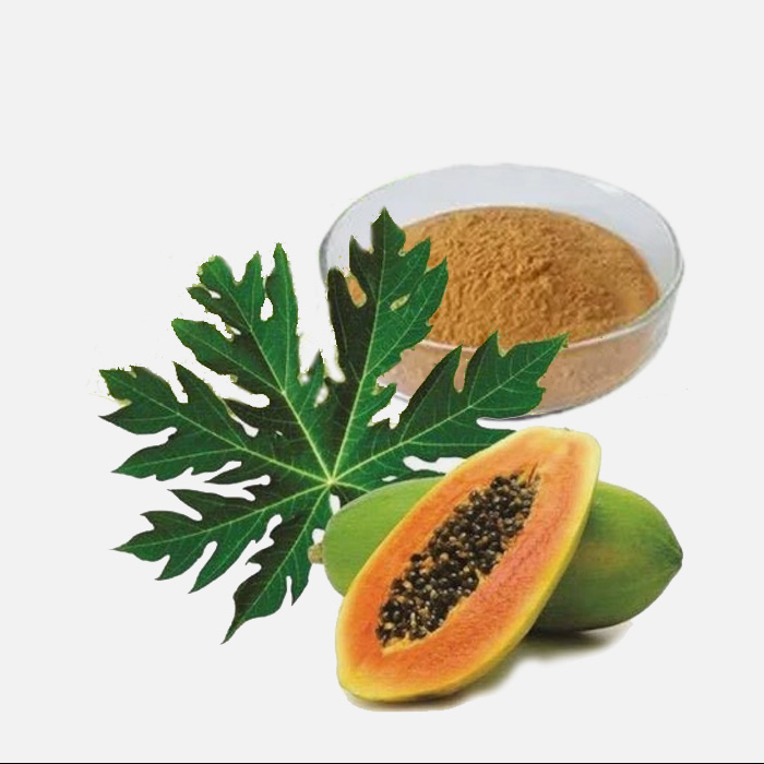 Carica Papaya Extract