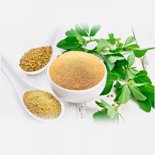 Fenugreek (Trigonella foenum-graecum) Extract
