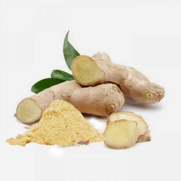 Ginger (Zingiber Officinale) Extract