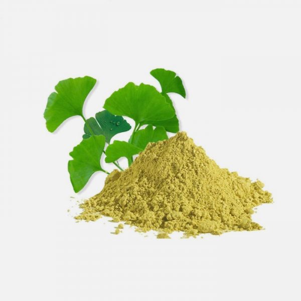 Ginkgo Biloba Extract