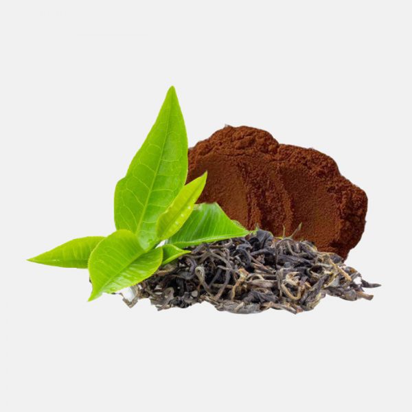 Green Tea (Camellia Sinensis) Extract