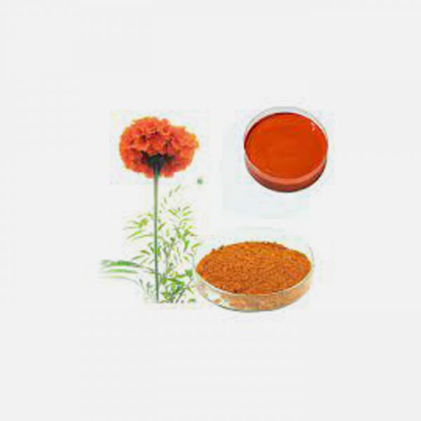 Lutein Extract & Oil