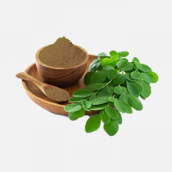 Moringa Oleifera Extract