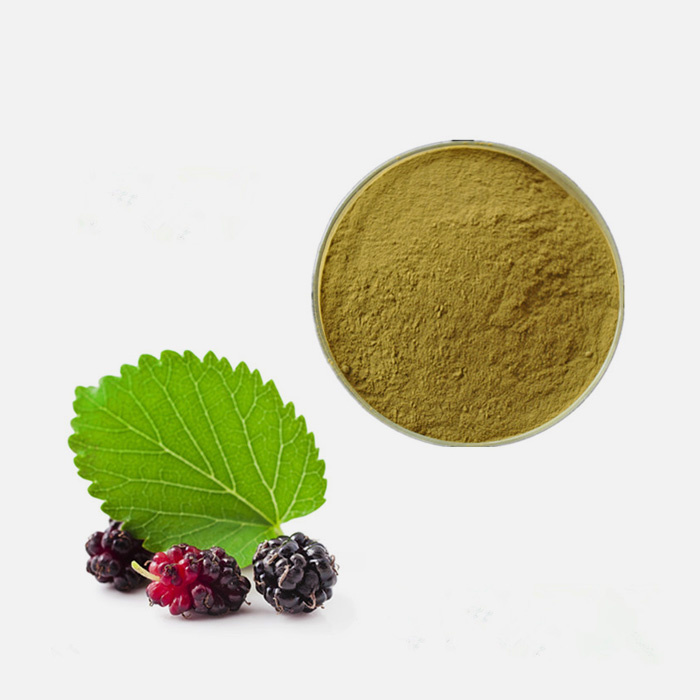 Mulberry Leaf (Morus Alba) Extract