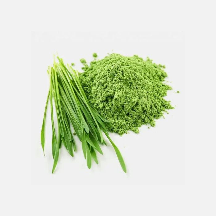 Organic Barley Grass (Hordeum vulgare) Extract