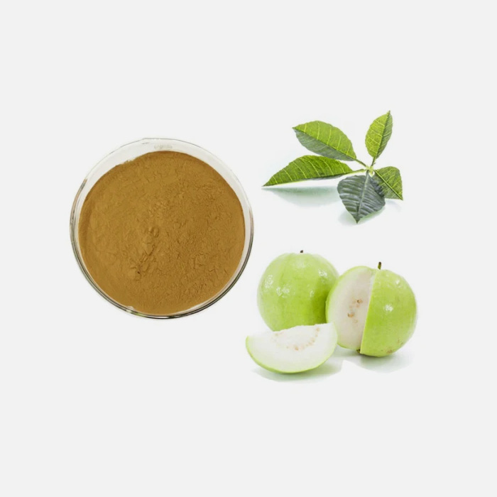 Organic Guava Leaf (Psidium guajava) Extract
