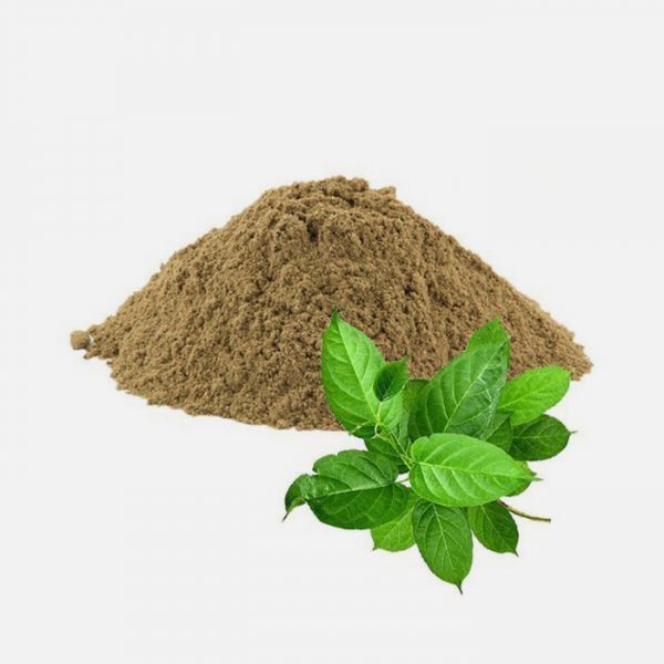 Organic Gymnema Sylvestre