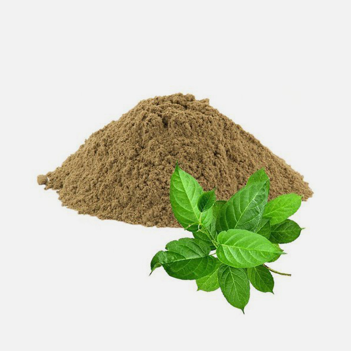 Organic Gymnema Sylvestre