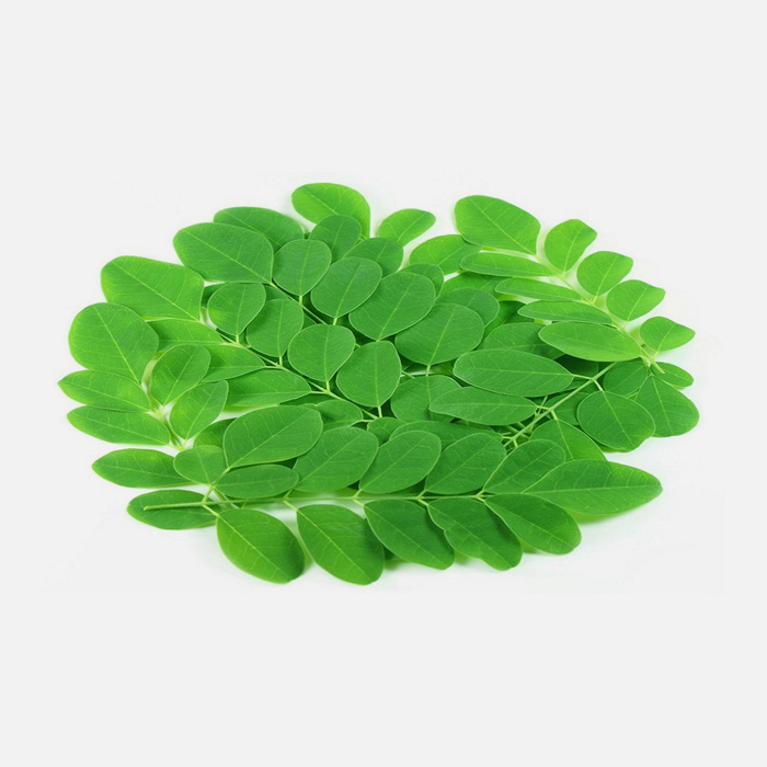 Organic Moringa (Oleifera) Extract