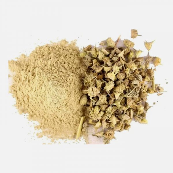 Organic Tribulus (terrestris)