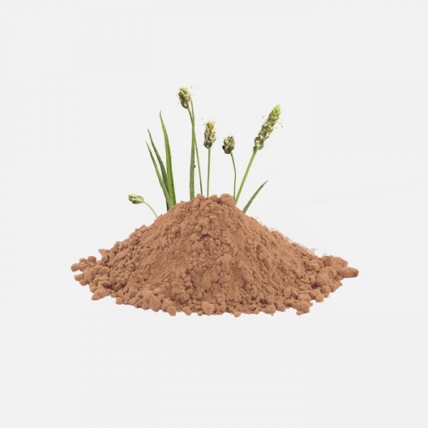 Psyllium Husk Whole and Powder (Plantago Ovata)