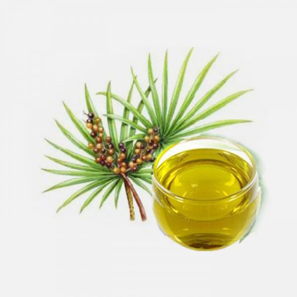 Saw Palmetto CO2 Extract