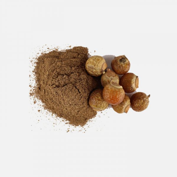 Terminalia Bellerica (Baheda) Extract