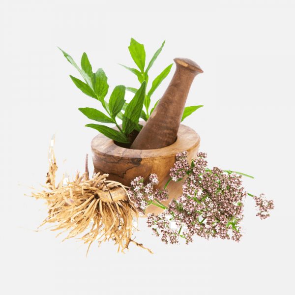 Valerian CO2 Extract & Oil