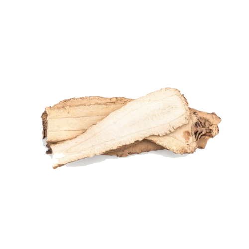 Astragalus (Milkvetch)