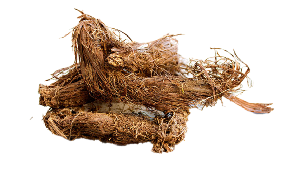 Nardostachys jatamansi Extract