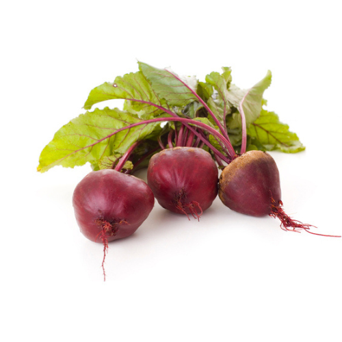 Beta vulgaris (Beet)