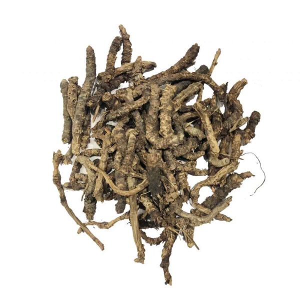 Picrorhiza kurroa (Kutki)