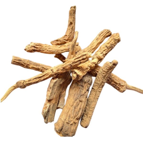 Operculina Turpethum (Nishodh Extract)