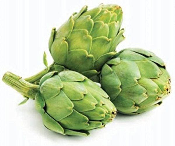 Cynara cardunculus (Artichoke)
