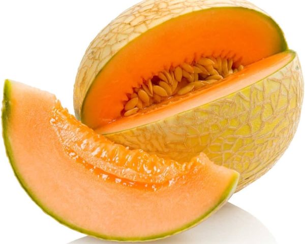 Cucumis melo (Cantaloupe)