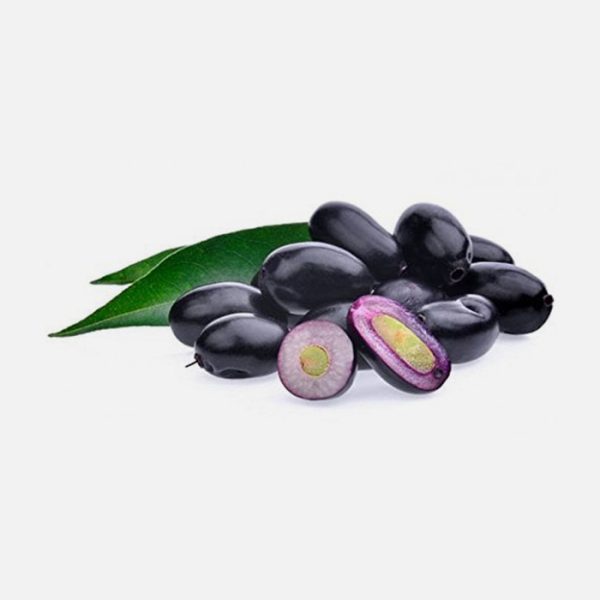 Syzygium cumini (Jamun)