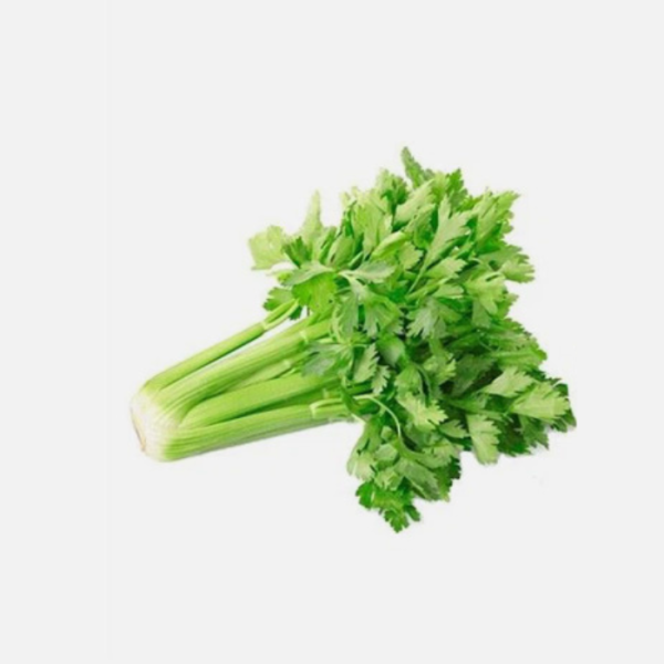 Apium graveolens Extract (Celery