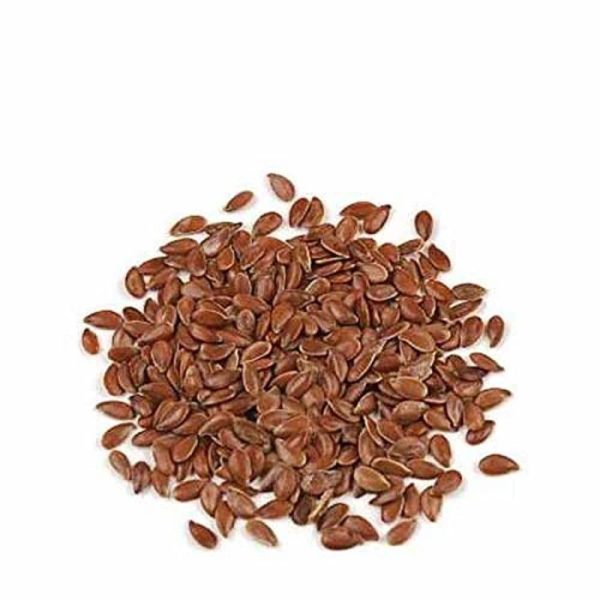 Linum usitatissimum (Flax seed)