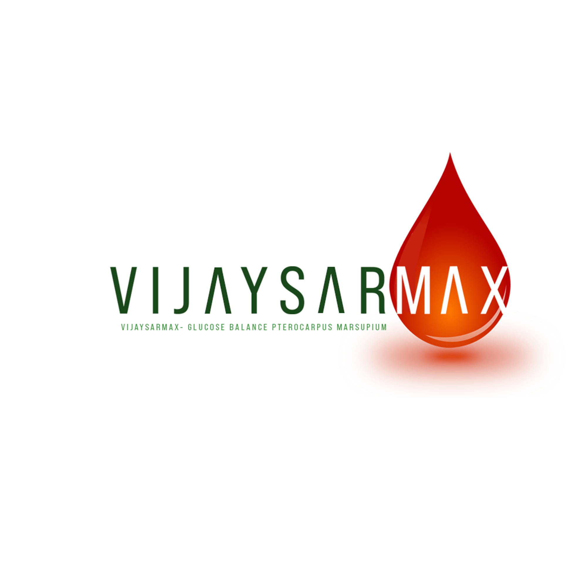 Vijaysarmax ™